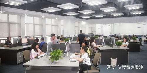 东莞东城电商淘宝运营与美工培训 赋能企业，开启数字商业新篇章