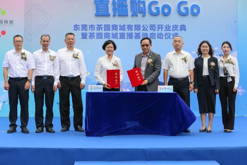 东莞茶山 打响“茶山制造”品牌，迈入电商时代新业态